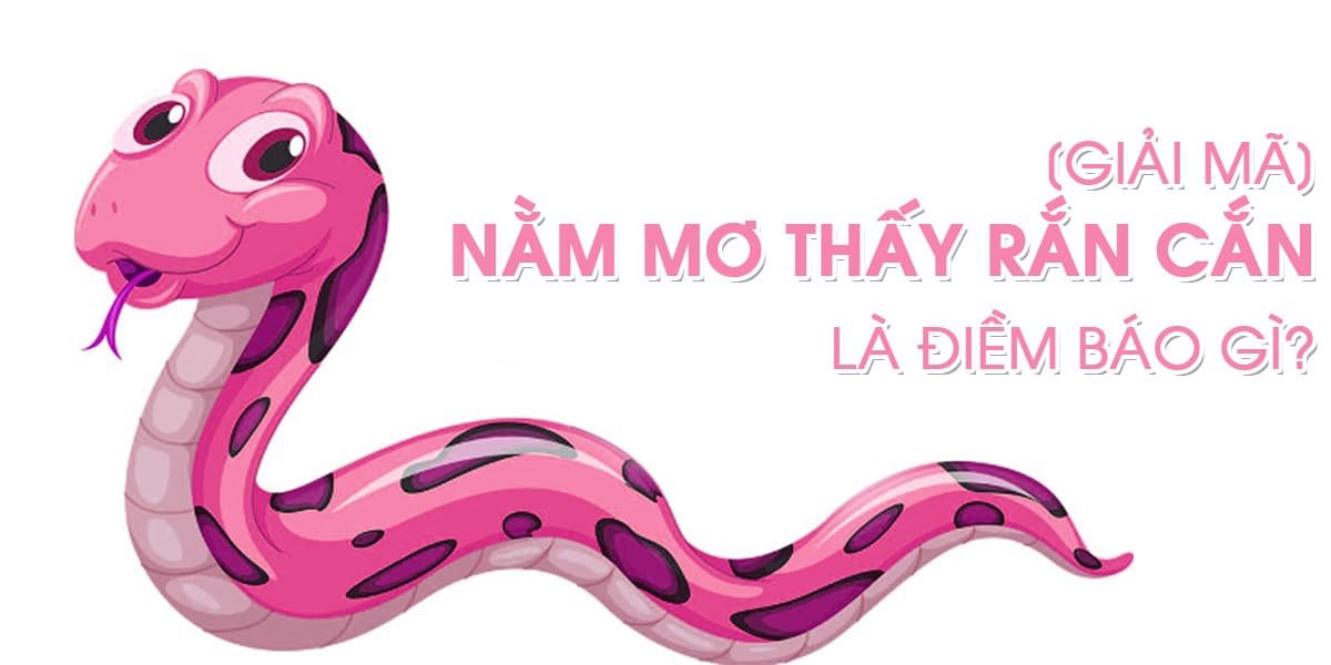 Nằm mơ thấy rắn cắn điềm báo tốt hay xấu? có ý nghĩa gì? 2 Nằm mơ thấy rắn cắn điềm báo tốt hay xấu? có ý nghĩa gì?