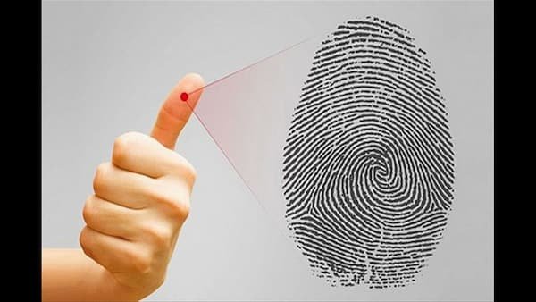 Hoa tay là gì? Bao nhiêu hoa tay thì tốt? Số hoa tay nói lên điều gì? 10 Hoa-tay-là gì-bao-nhiêu-hoa-tay-thì-tốt-Số-hoa-tay-nói-lên-điều-gì-img5