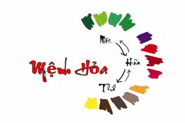Mệnh hoả hợp cây gì? Cây phong thuỷ dành cho người mệnh hoả 25 Mệnh-hoả-hợp-cây-gì-Cây-phong-thuỷ-dành-cho-người-mệnh-hoả-img1