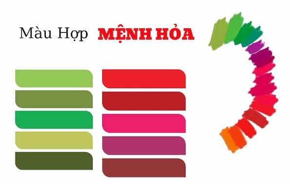Mệnh hoả hợp cây gì? Cây phong thuỷ dành cho người mệnh hoả 14 Mệnh-hoả-hợp-cây-gì-Cây-phong-thuỷ-dành-cho-người-mệnh-hoả-img2