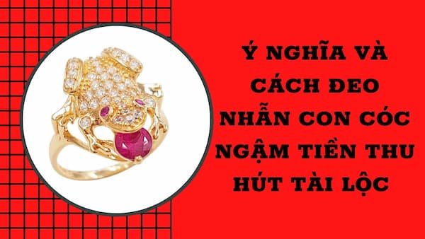 Ý nghĩa phong thuỷ và cách đeo nhẫn cóc ngậm tiền hút tài lộc 8 Ý-nghĩa-phong-thuỷ-và-cách-đeo-nhẫn-cóc-ngậm-tiền-hút-tài-lộc-img6